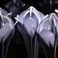 Estatuillas de Premios Nacionales 