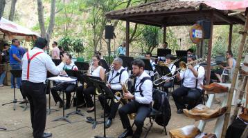 En la foto se ve a los músicos de la Banda de Conciertos de Limón tocando al aire libre rodeados de árboles en el exterior de un parque. Suave luz del día. 