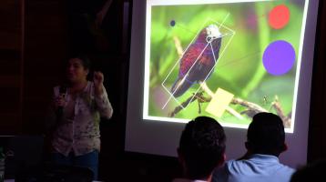 Taller: cantos y colores de las aves de la ciudad, miércoles 15 de enero a las 9 am