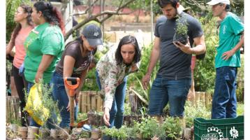 Cinco jóvenes trabajando en una huerta