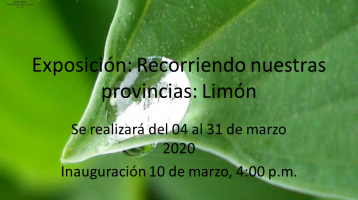 Hola verde con una gota de agua a punto de caer y el banner: Exposición "Recorriendo nuestras provincias: Limón"