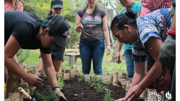 Personas sembrando plantas en la tierra
