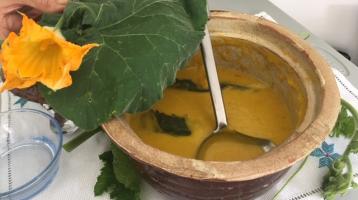 Crema de ayote