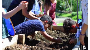 Niños cultivando en huertas