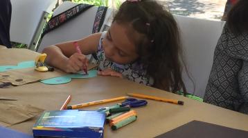 Taller virtual: Insectos, pequeños gigantes