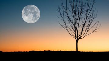 paisaje desértico al atardecer con Luna grande