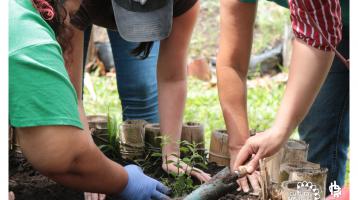 Personas cultivando en una huerta