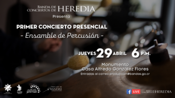 Instrumentos de percusión