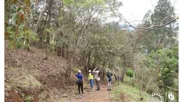 Grupo de personas haciendo un recorrido en el PLL y reconociendo la importancia de las áreas verdes urbanas