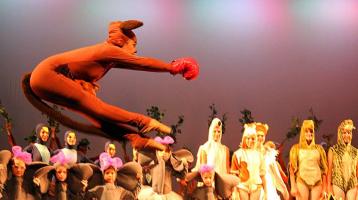 El carnaval de los animales de Danzay. Espectáculo virtual Transmisión Facebook TNCR