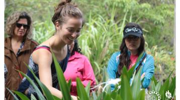 Voluntariado Ambiental Comunitario 