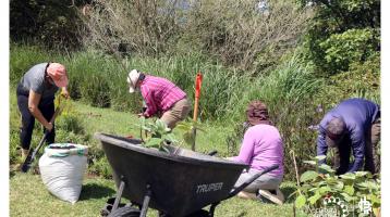 Voluntariado Ambiental Comunitario 