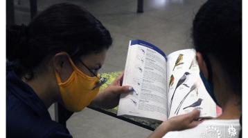 Las aves urbanas del Parque La Libertad | Parque La Libertad