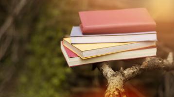 Fotografía de un grupo de 4 libros apilados encima de una rama de un árbol.
