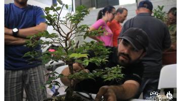 Club Mensual de Bonsái | Parque La Libertad