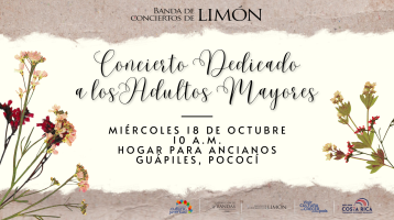 flores de colores con fondo beige