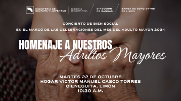manos jóvenes sosteniendo las manos de una persona adulta mayor