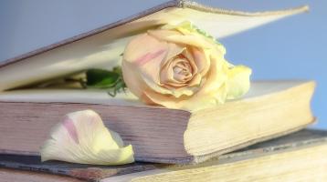 Un libro entre abierto con una rosa dentro 