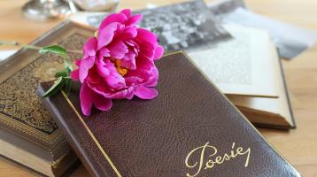 Unos libros y una rosa