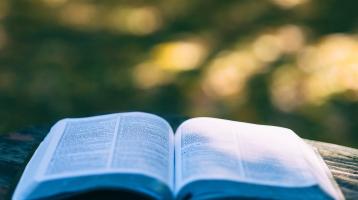 Un libro abierto en exterior