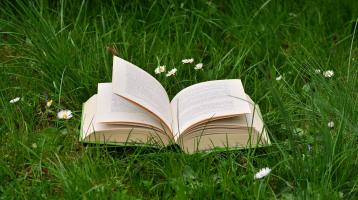 Un libro abierto sobre un césped con algunas flores