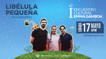Libélula