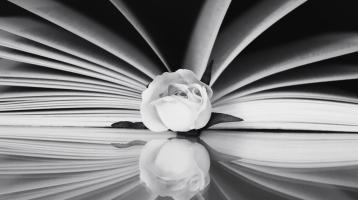 En tonos blanco y negro un libro abierto y una rosa en el centro
